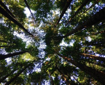 Eco friendly manufacturing ways